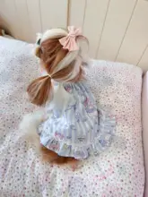 ペット用 ドッグ&キャットドレス【テディベア風・首掛けタイプ・プリンセスディザイン】