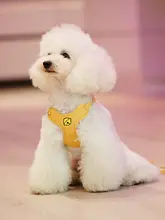 小型犬用ハーネス付きリード【引き抜け防止・テディ・ポメラニアン対応】