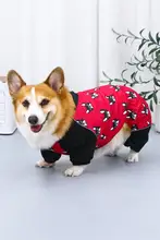 全身保護の防水レインコート【犬用・小型・中型犬対応・お散歩用】