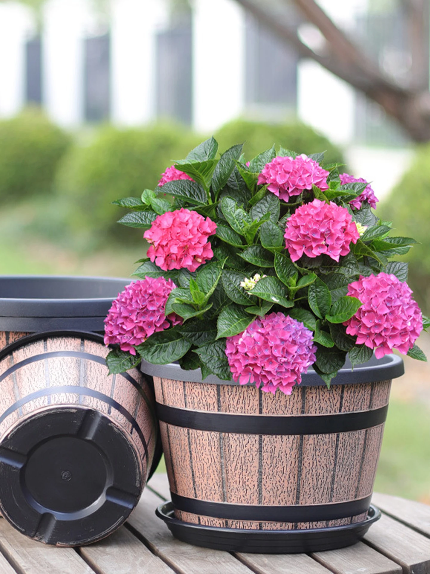 ほったらかしで毎年咲く花を育てるためのレトロ風植木鉢の選び方