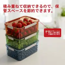 大容量の持ち運び可能な密封保存ボックス【冷蔵庫用・野外ピクニック・果物や弁当の収納】