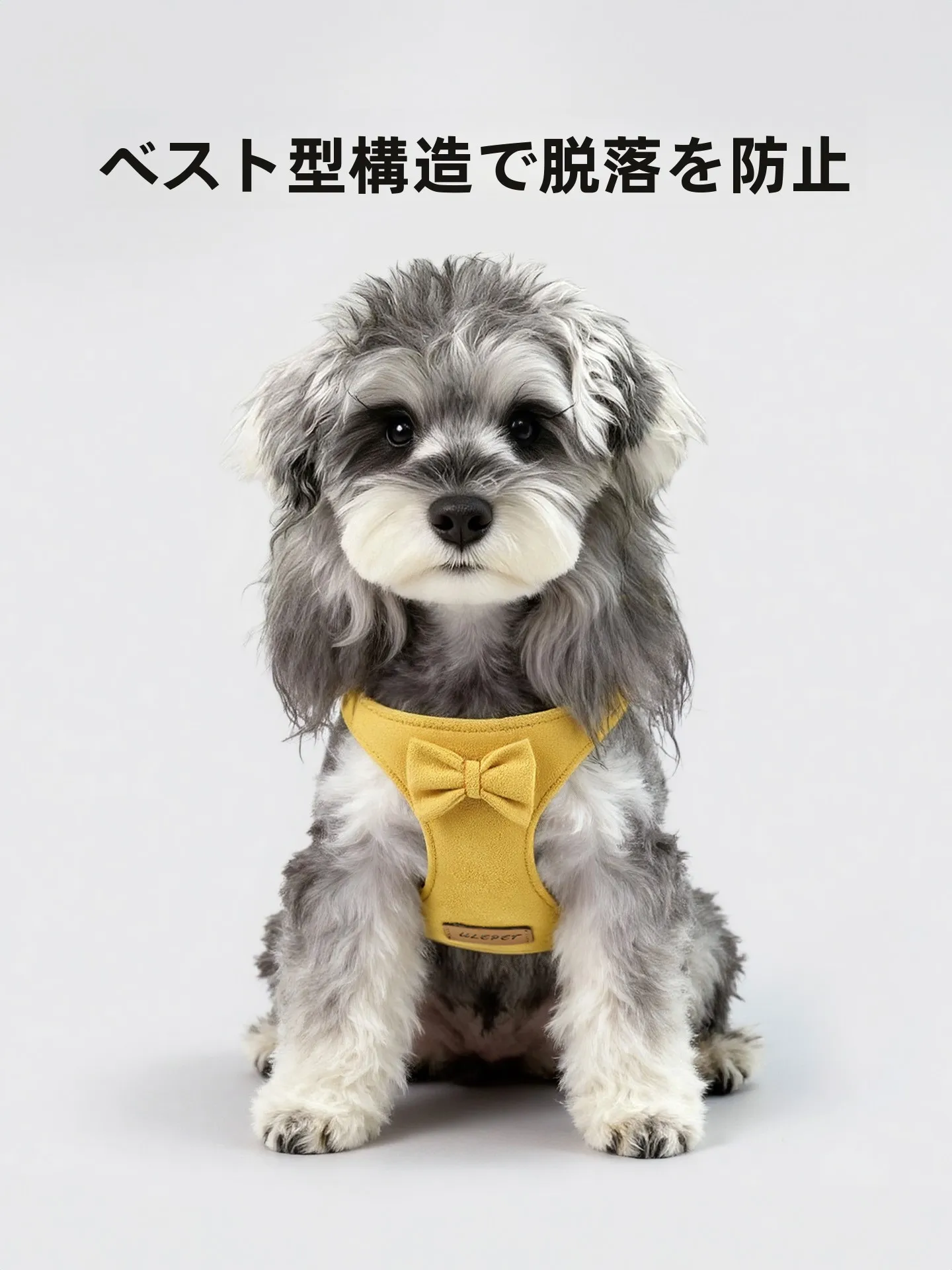 小型犬ハーネス かわいい ブランド比較：7o/柒哦のリードが小型犬に最適な理由