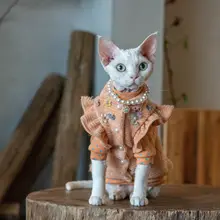GINGERAIN おしゃれな無毛猫用セーターコート【フリース裏地・フライ袖・ボタン付き・単体着用可】