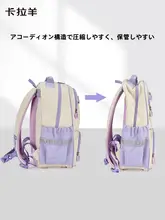 軽量で防水機能付き！大容量オーケストラリュック【小学生・背中を守るデザイン・男女兼用】