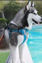 犬用 胸部ハーネスとリード【大型犬用・快適設計・調整可能】