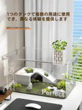水槽 アクアリウム 小型 卓上 蓋付き ろ過フィルター エアポンプ一体型 水草レイアウト 家庭用 亀飼育