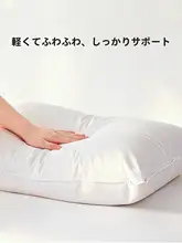 白鹅绒のまくら【ホテル仕様・成人用・首支持・四季対応】
