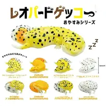日本正規品 QUALIA 第2弾