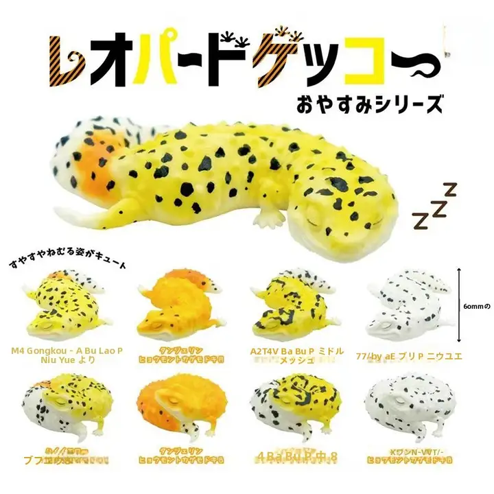 日本正規品 QUALIA 第2弾