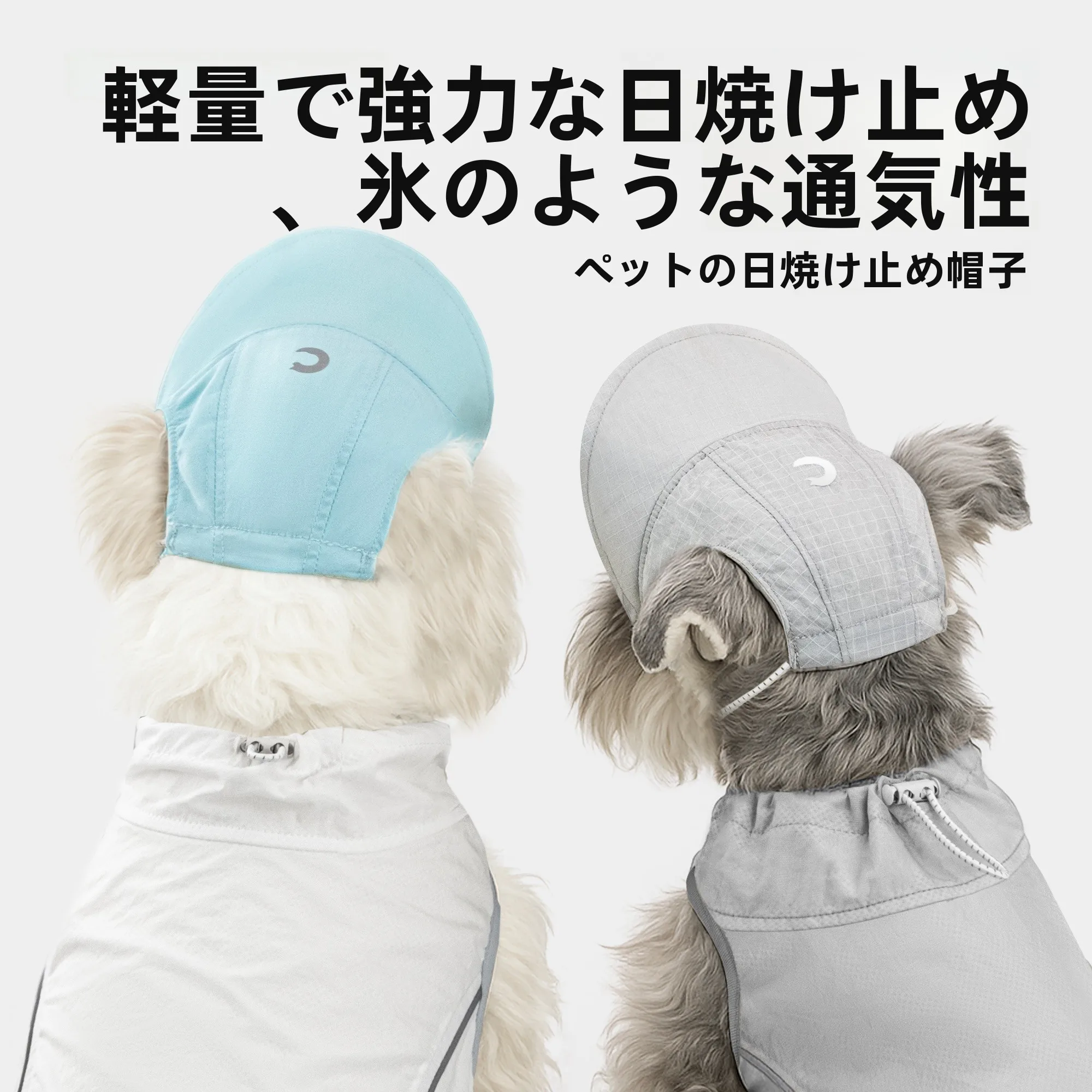 犬のお散歩グッズをコスパ良く揃える方法　完全ガイド