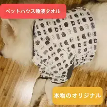 中大型犬用 透湿メッシュ 犬用ウェア【春夏用・肘保護・サモエド・ゴールデンレトリバー対応】