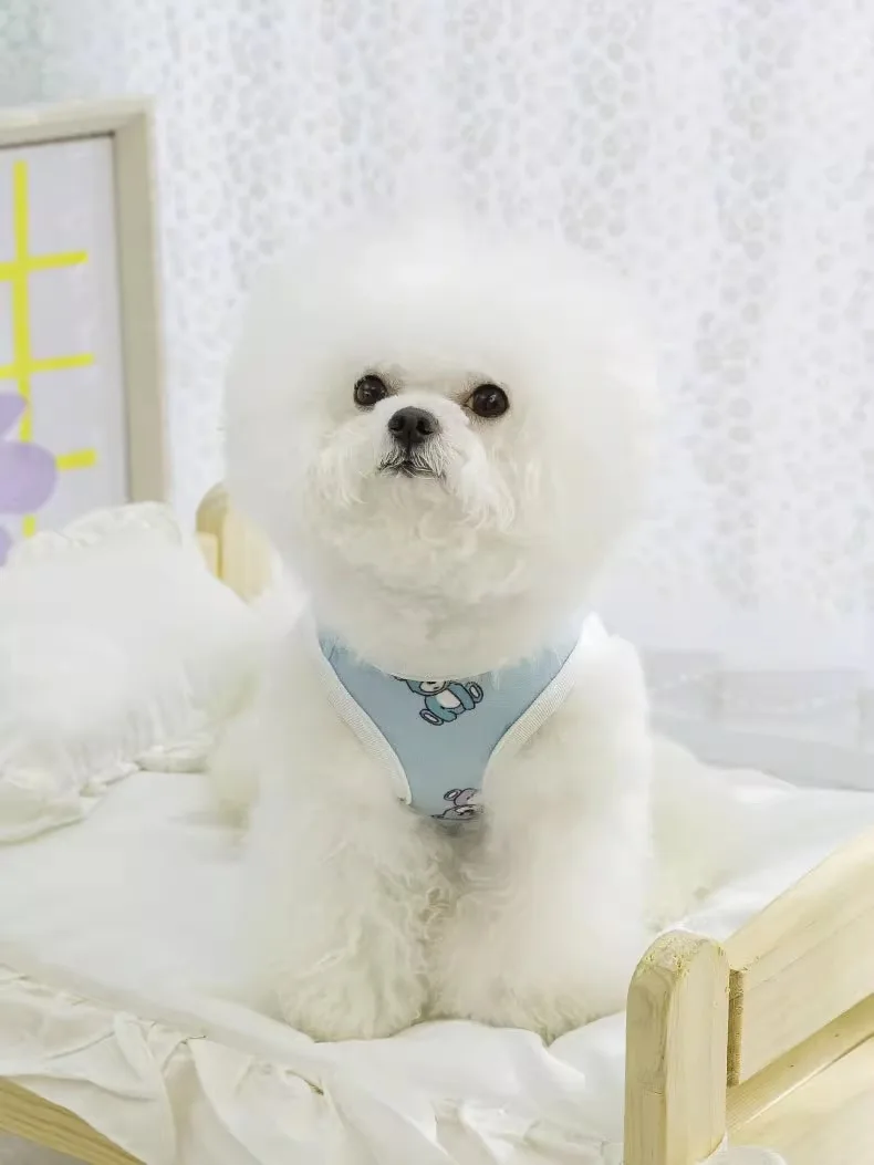 トイプードル ブラックタンに合う秋冬薄手犬服の選び方と実用性