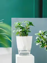 自動吸水仕様の透明プランター【観葉植物用・デザインポット・グリーン】