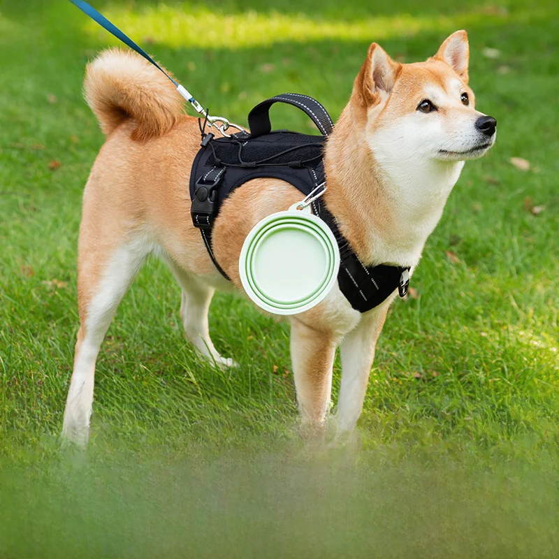 折りたたみ式ペット用水入れと食器セット【携帯便利・犬猫兼用・アウトドア用】