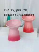 フランス製グラデーション陶器ペット用ボウル【斜め口・高脚・首保護】