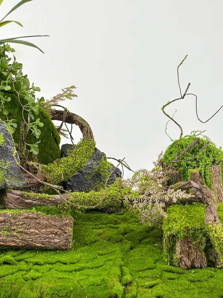 植木鉢 木製 樹皮 苔 テラリウム DIY 寄せ植え インテリア インスタ映え 撮影用小物