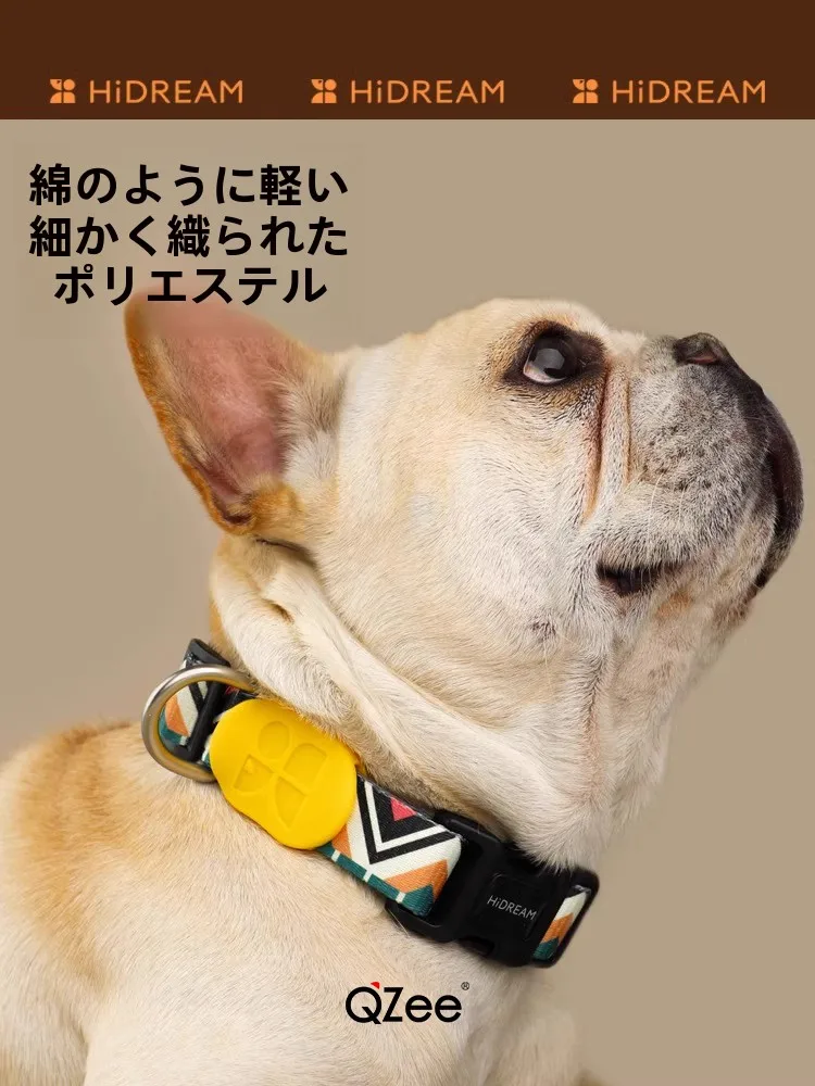 犬の首輪とリードセットを選ぶべきタイミングは？
