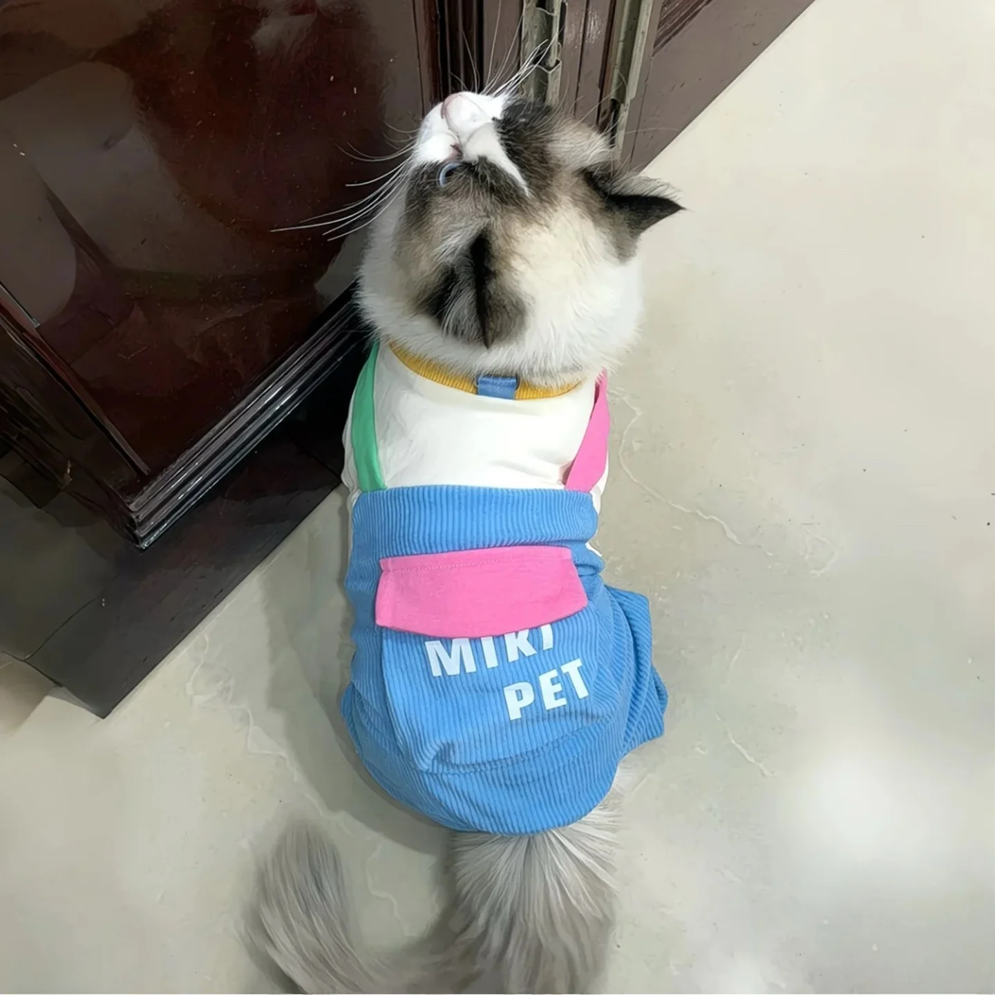 猫の冬の日常を彩る、抜けにくいサスペンダーパンツはどれがおすすめ？