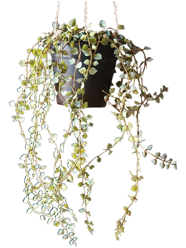 ウッドデッキに植える植物の目隠しとしてのフェイクフラワー鉢の選び方