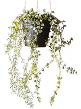 フェイクフラワー グリーン 植木鉢 プラント 吊りラン 装飾 オーナメント アートスタイル ギフト