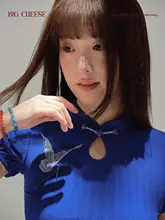 Tシャツ レディース 蝶刺繍 スタンドカラー 大きいサイズ チャイナテイスト インナー 夏 藍色