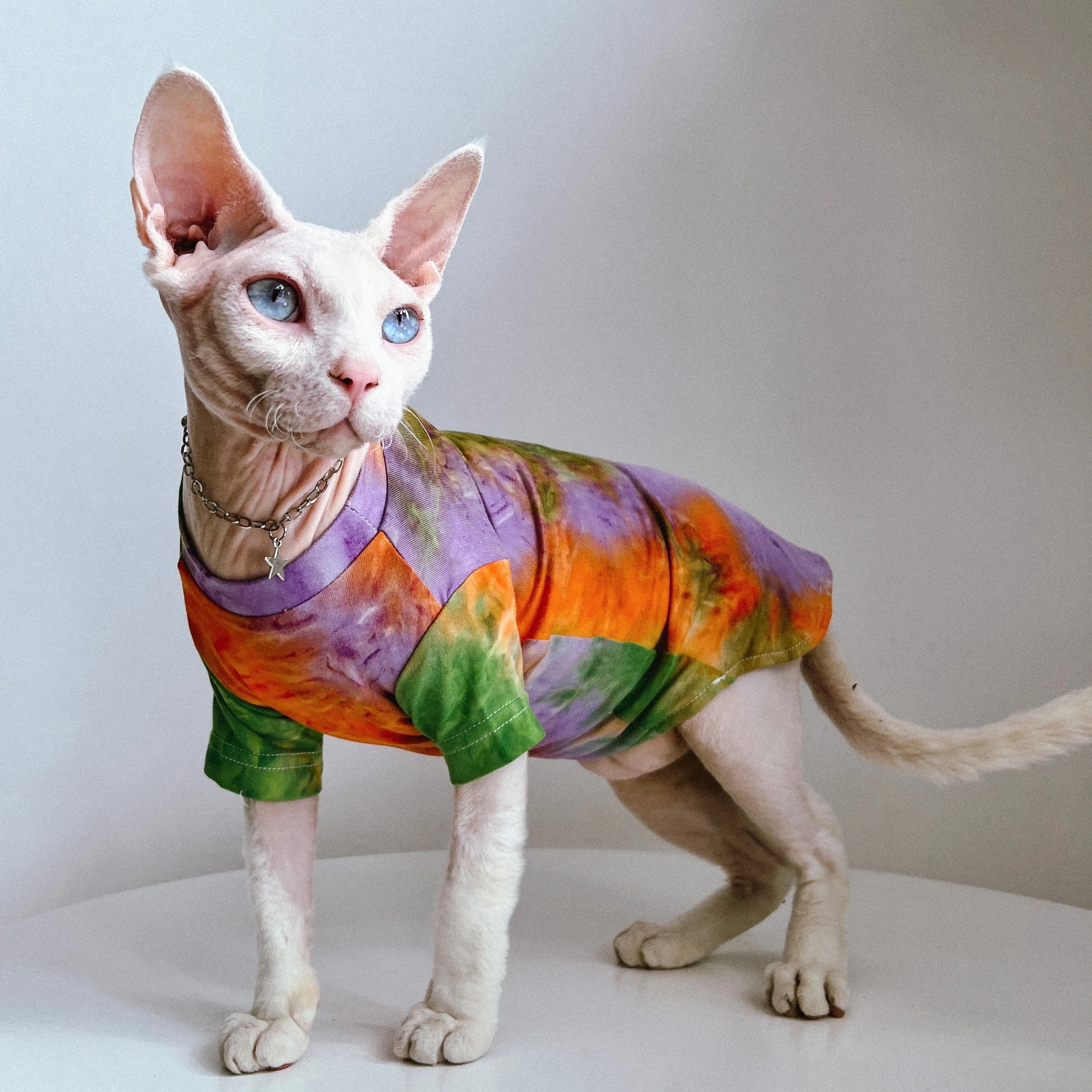 無毛猫用衣服：スフィンクス・コーニッシュ向けの肌に優しい夏用エアコン対応モデル