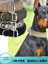 大型犬用首輪とリード【ゴールデンレトリバー・ラブラドール・アラスカンマラミュート対応】