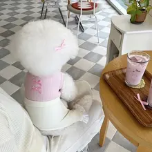 ペット フルボディ服 小型犬 家庭用 薄手 夏用