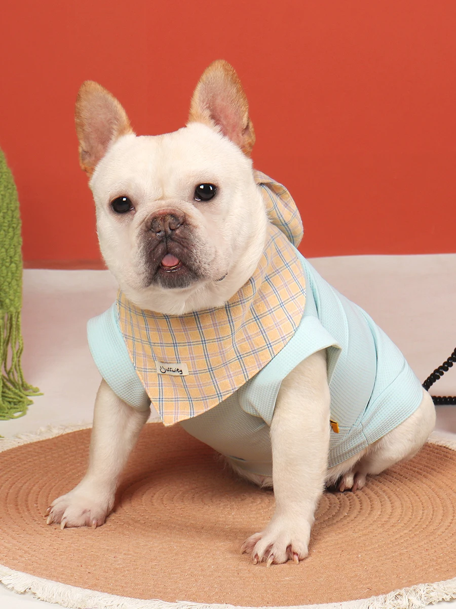 春夏用犬服：薄手可爱设计，适合柴犬与法斗的日常通勤穿搭