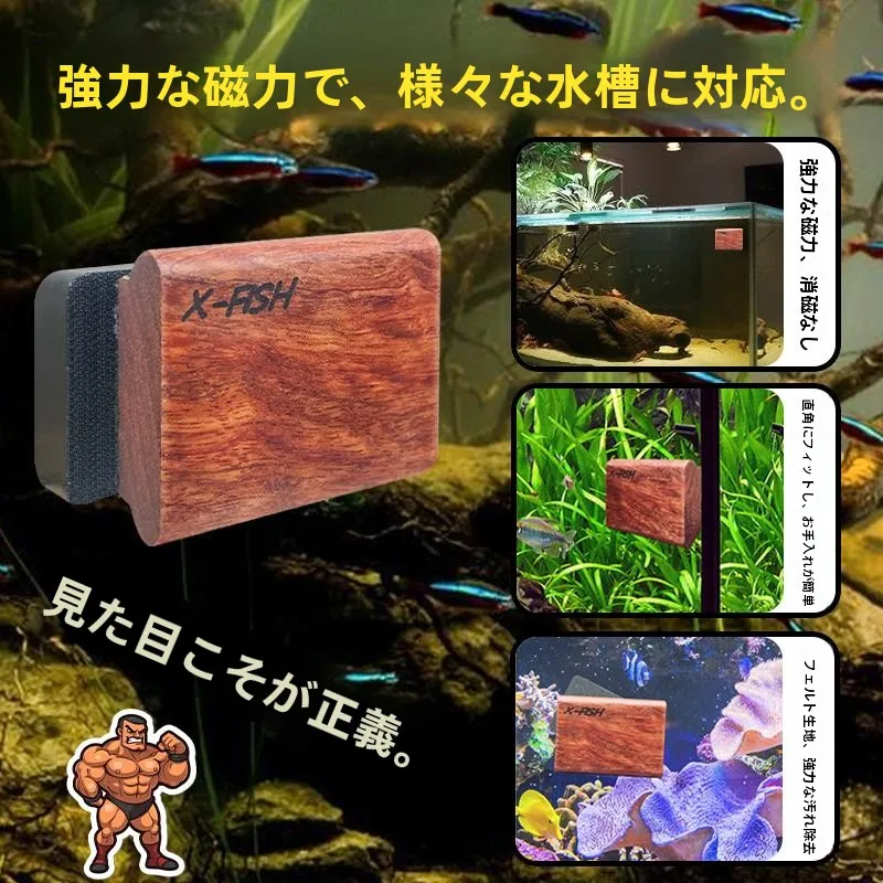 水槽の藻が増えるのはなぜ？強力マグネット付きガラスクリーナーで解決できる本当の方法とは
