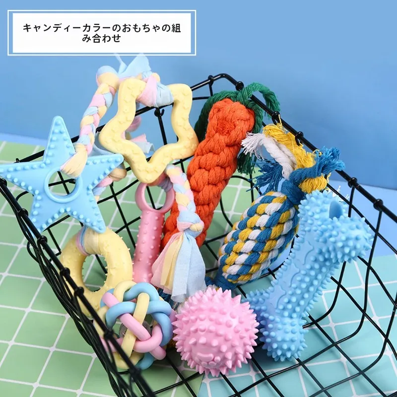 犬用耐噛みおもちゃ3点セット：6ヶ月から長く遊べる幼児向けの安全な選択肢