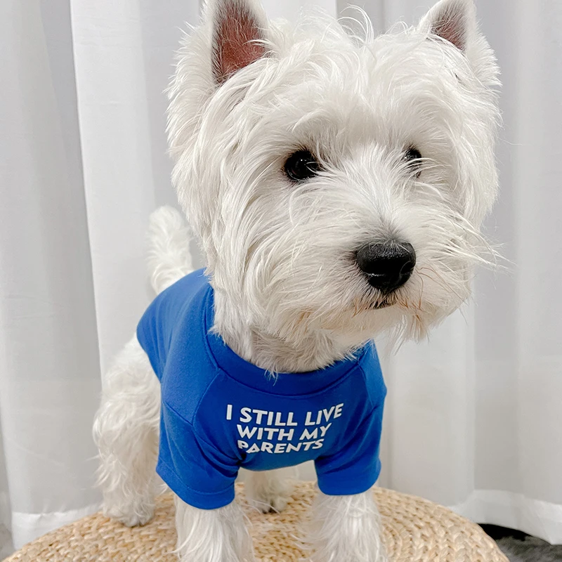犬猫用春秋ファッションペットウェア：防毛・軽やかデザインの実用性と選び方