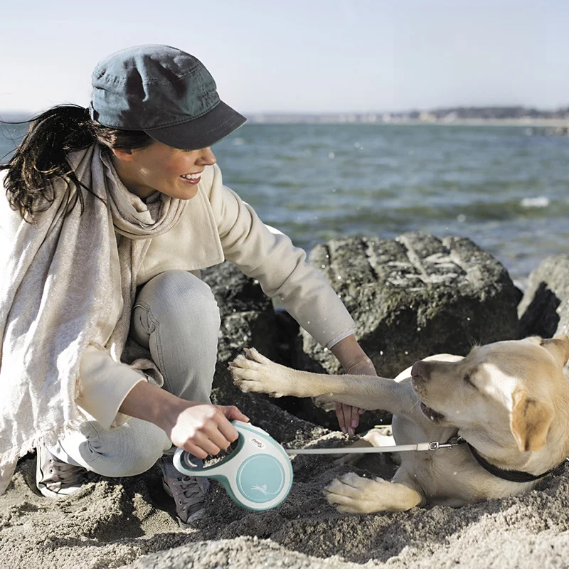 犬のお散歩グッズをコスパ良く揃える方法｜自動伸縮リードで解決する散歩の悩み