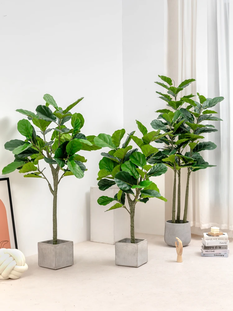 おうち時間を豊かにするおすすめアイテム｜観葉植物と陶器プレートの組み合わせガイド