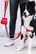 ペット用 持ち運び便利なトイレ袋【環境に優しい・犬猫兼用・アウトドア向け】
