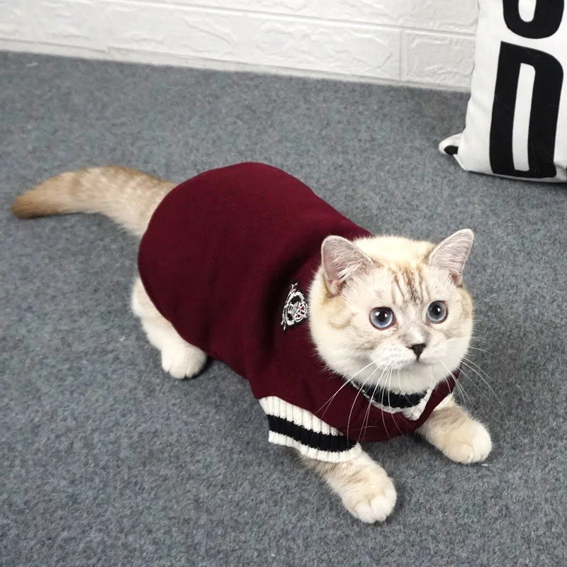 猫飼いが買ってよかったもの・悪かったもの正直に言う｜秋冬保温猫服の実測ガイド