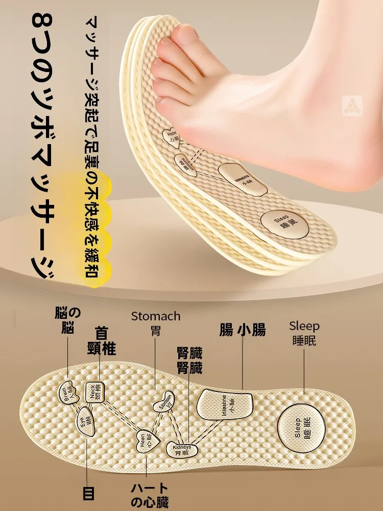 女性用吸汗防臭透湿シューズインソール：夏期長時間使用でも快適な足裏ケア