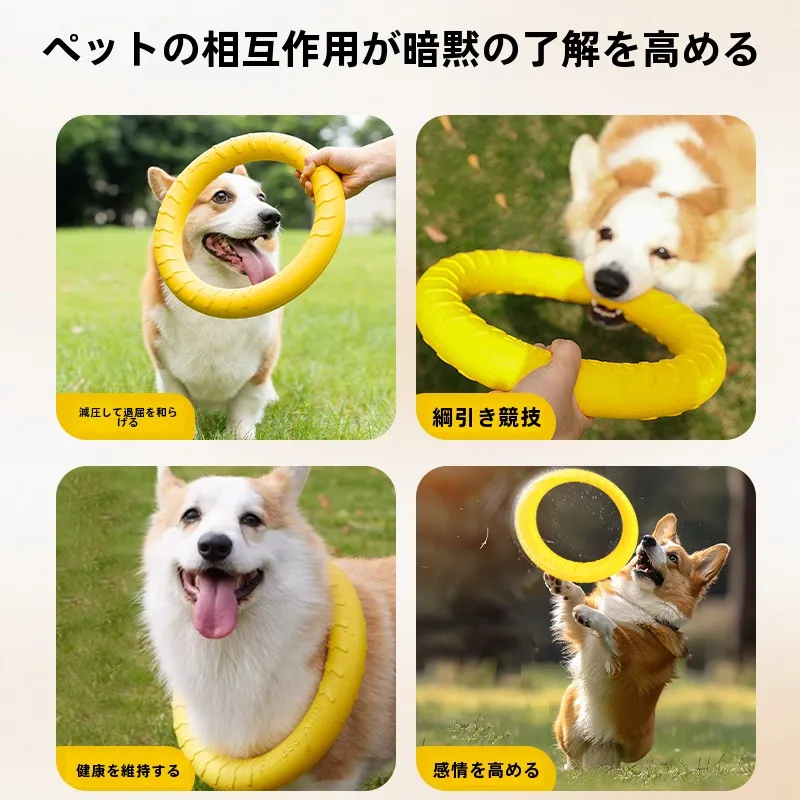 犬首輪とは何か？その本質と、私たちの暮らしにどう関わるのか