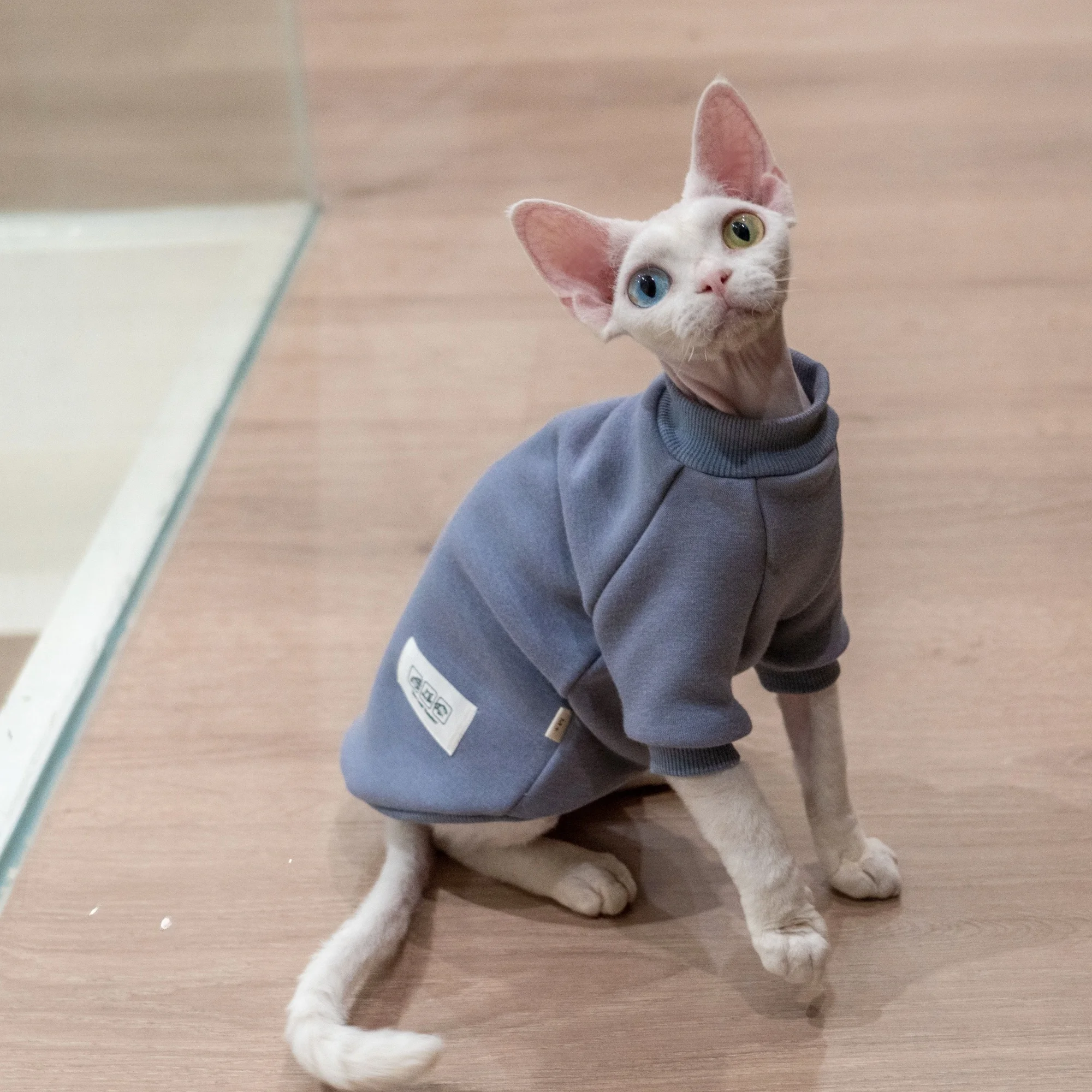 猫飼いが買ってよかったもの・悪かったもの正直に言う - 裏起毛保温セーターの特徴と実際の効果