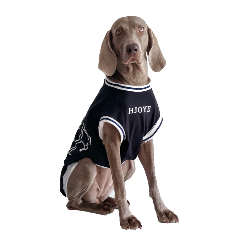 大型犬用夏用ペットウェア：薄手ドッグTシャツで暑さ対策を実現