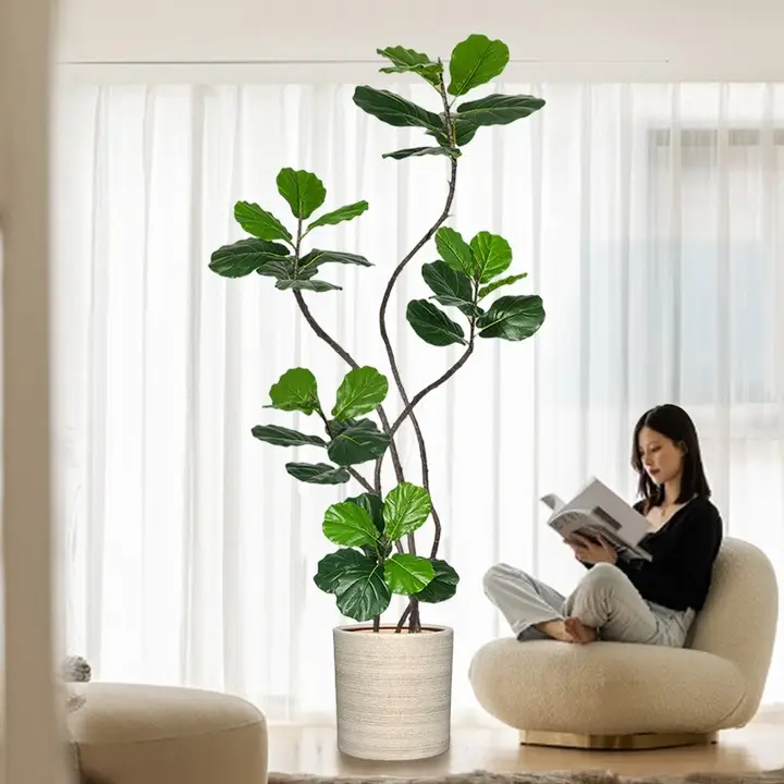 高級感あふれるフィ・リリフィクスの観葉植物【インテリア用・鉢付き・高級デザイン】