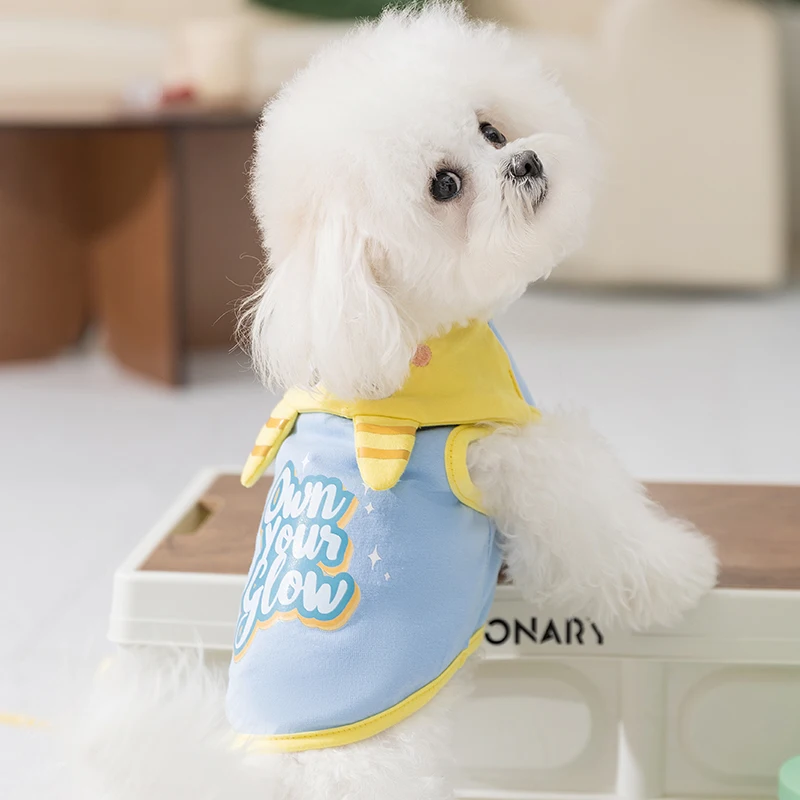 ハロウィン 犬服：hipidog 春夏用小型犬服の実用性とサイズ選定ガイド