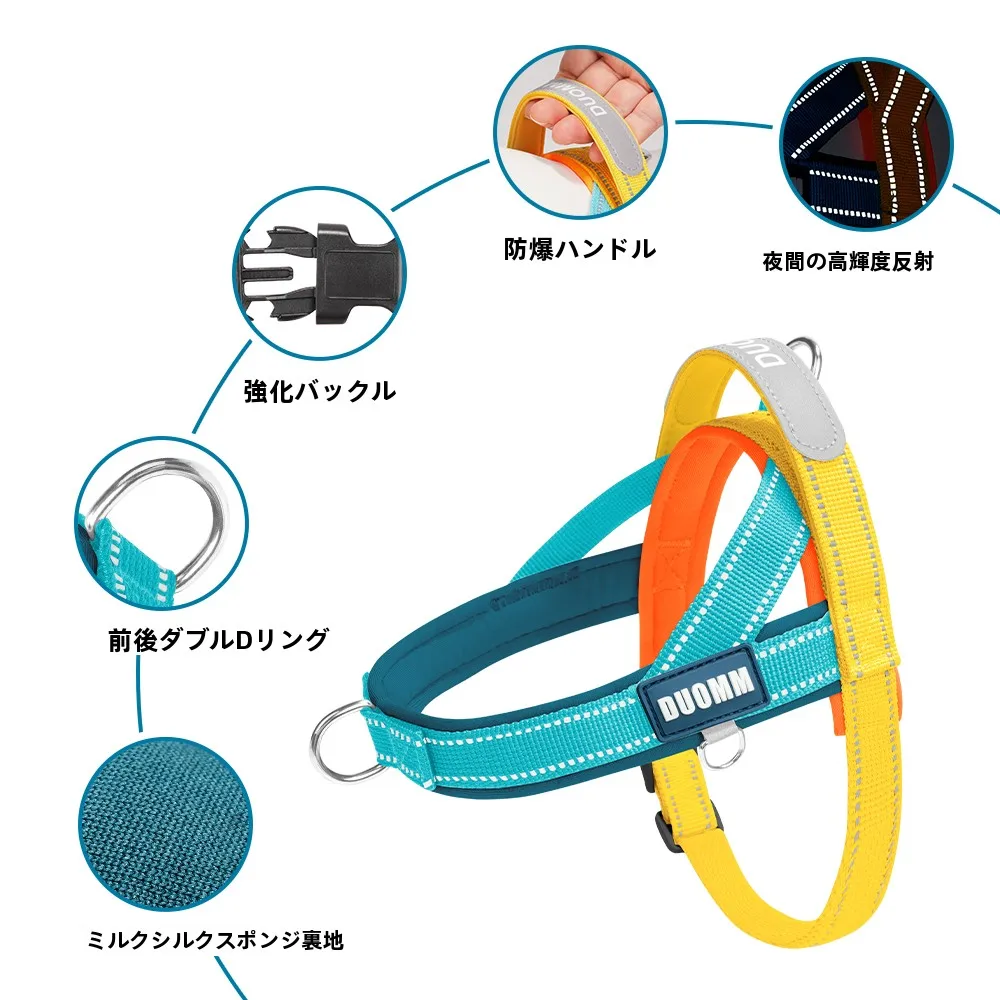 犬用ハーネス型リード：中小型犬向けの実用性と装着性を徹底解説