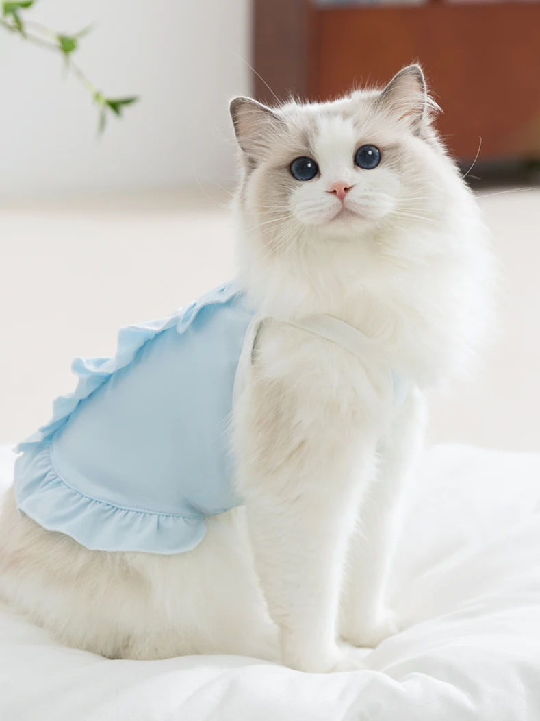 猫飼いが買ってよかったもの・悪かったもの正直に言う | 夏用薄手猫犬ペットラグドールクール服の通気性とサイズ選定