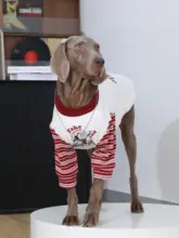 大型犬用 秋冬用セーター【ラブラドール・ゴールデン・ボーダーコリー・丸首・裏起毛】