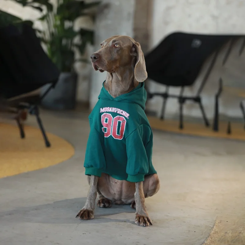 犬服 ハーネス 対応 おすすめ4選：通気性・デザイン・使いやすさを徹底比較