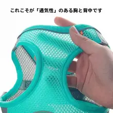 小型犬用 超小型ヨークシャーテリア用ハーネスリード【極上の柔らかさ・肩掛けデザイン】