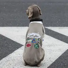 中大型犬用 フリース入り秋冬用ボンバージャケット【保温・ベースボールスタイル・ボーダー柄】