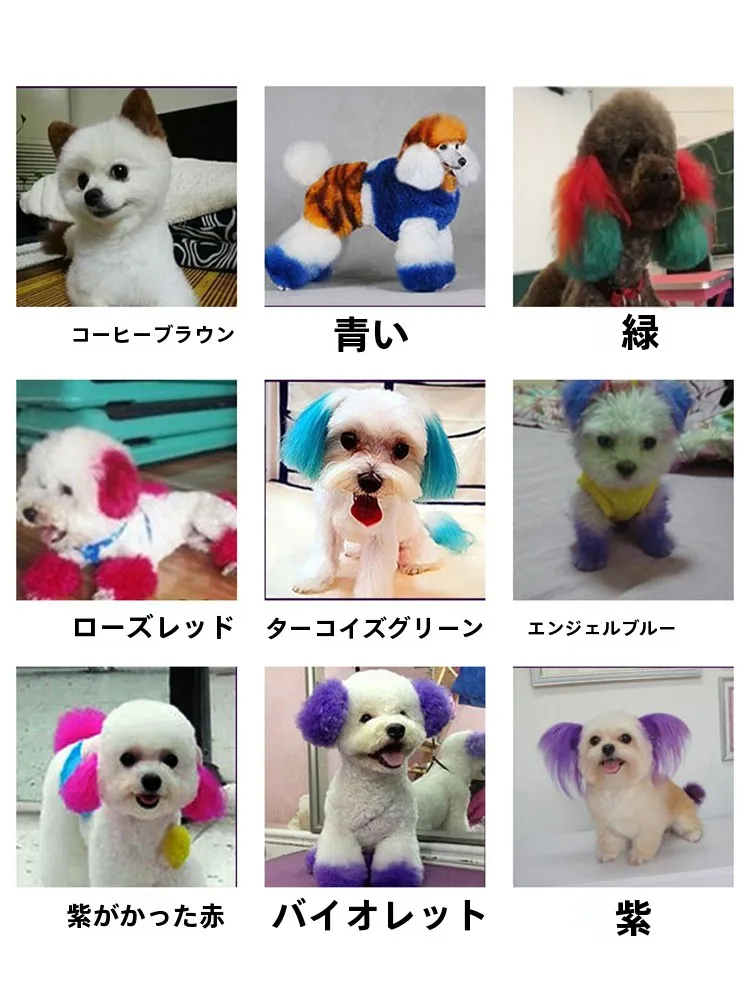 犬用カラートリートメント：毛色染めと美容ケアを一括で実現