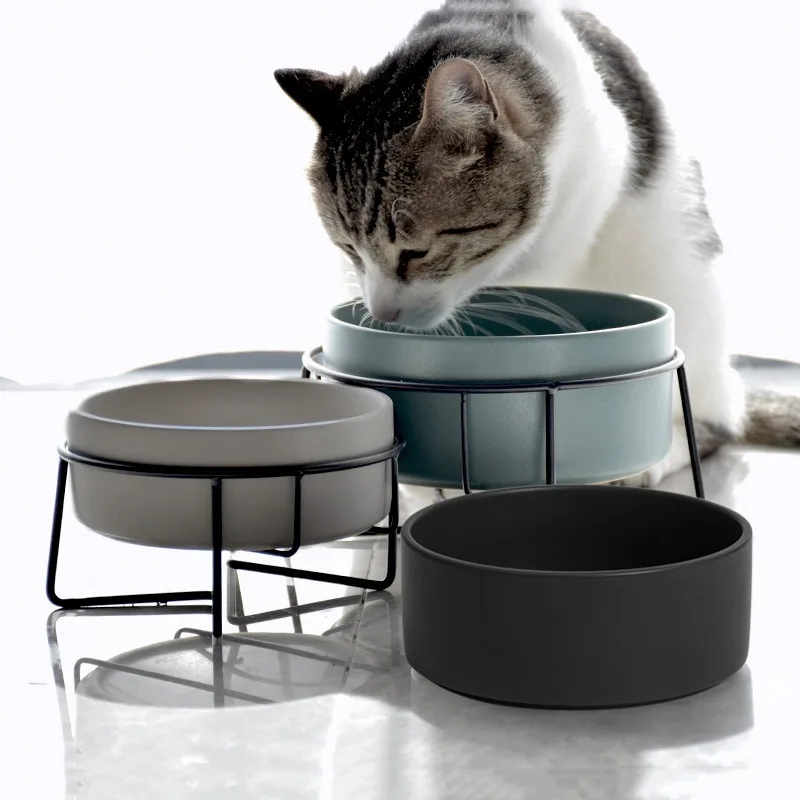 猫飼いが買ってよかったもの・悪かったもの、正直に言うなら？